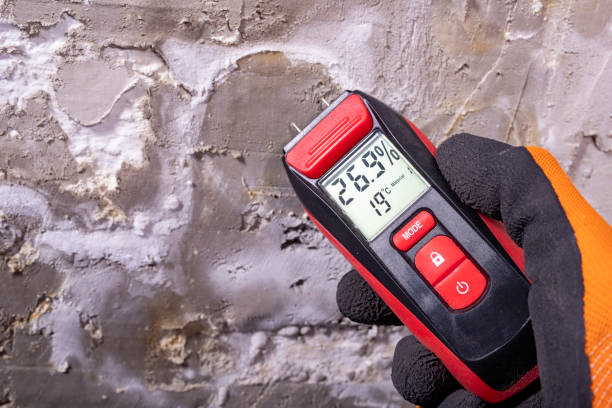 Home Mold Removal in Winters, CA